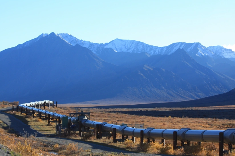 WoodMac: ABŞ dünyanın ən böyük ixracatçısı ola bilər