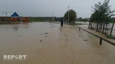Cənub bölgəsində sel sularının yaratdığı fəsadlar - FOTOREPORTAJ