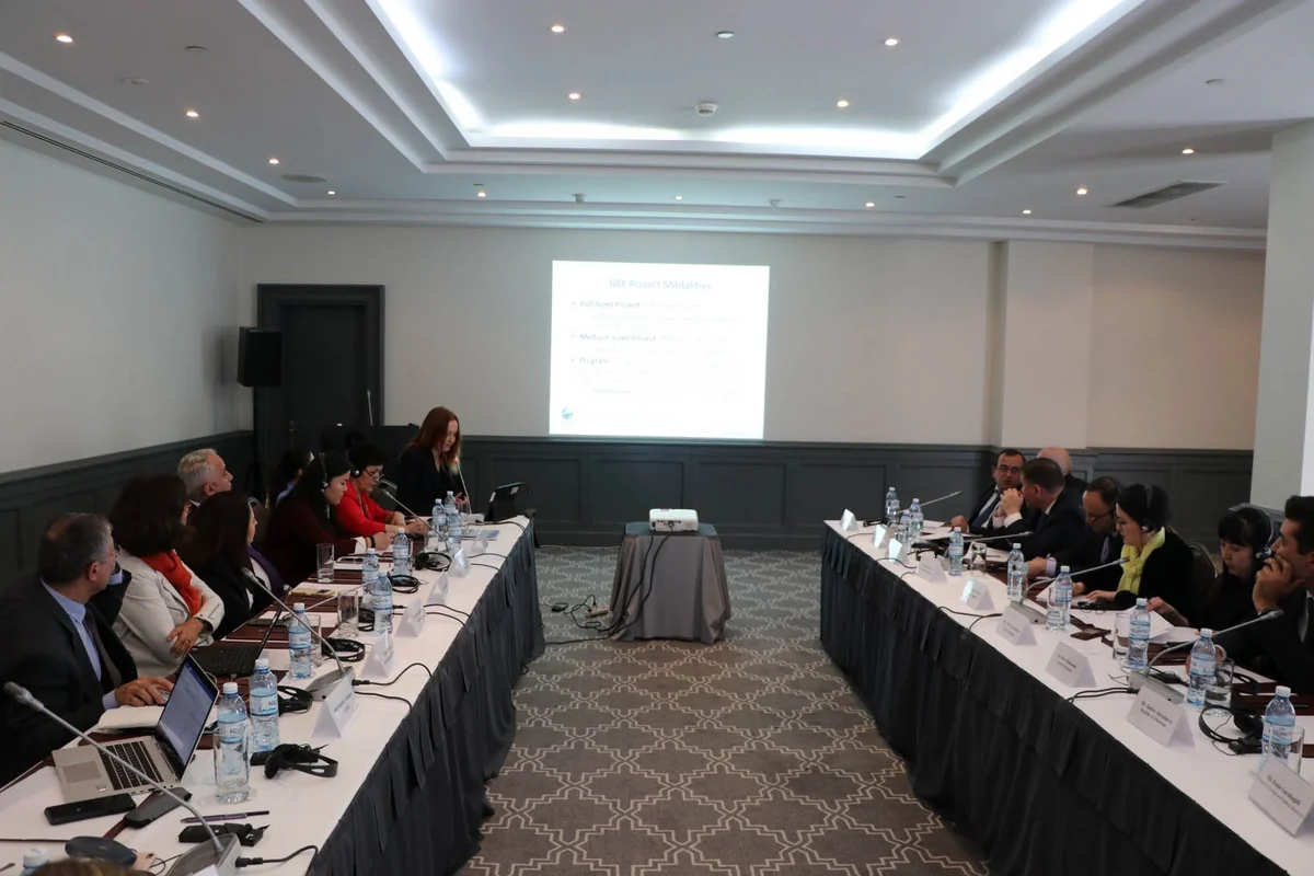 Qlobal Ekologiya Fondunun İşçi Qrupunun görüşü keçirilir