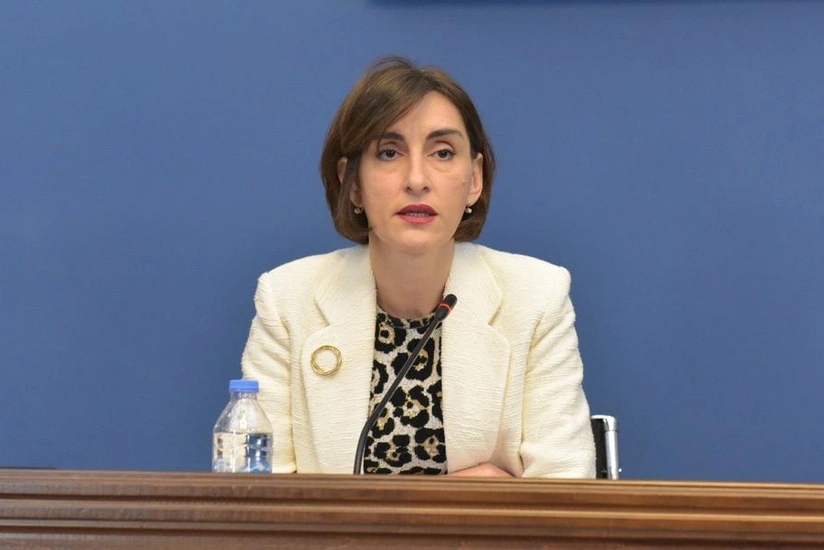 Rəsmi Tbilisi XİN başçısının Azərbaycana bugünkü səfər proqramını açıqlayıb