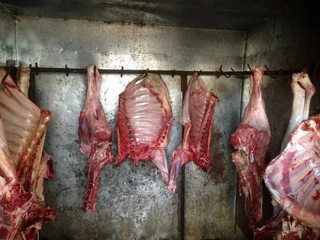 Bakı şəhərində və Yevlax, Bərdə, Ağcabədi rayonlarında qida təhlükəsizliyi ilə əlaqədar reydlər keçirilib