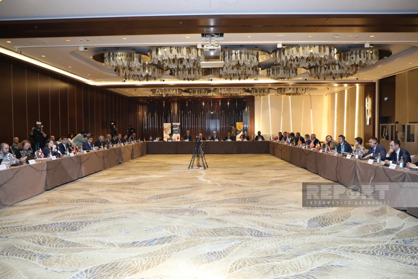 Bakıda heyvan sağlamlığı ilə bağlı seminar keçirilir