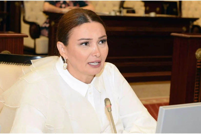 Qənirə Paşayeva: “Dövlət qurumları neçə qazini işlə təmin etməsi barədə hesabat versin”