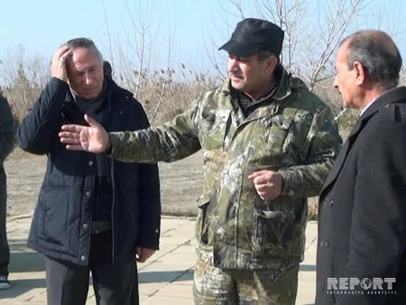 Şirvan Milli Parkından Ağ göl Milli Parkına 8 baş ceyran köçürülüb - FOTO