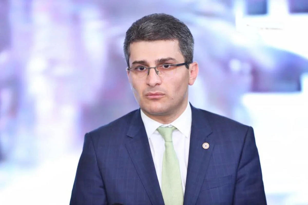 Gürcüstanın hakim partiyası və nazirindən Dmanisidəki problemə reaksiya