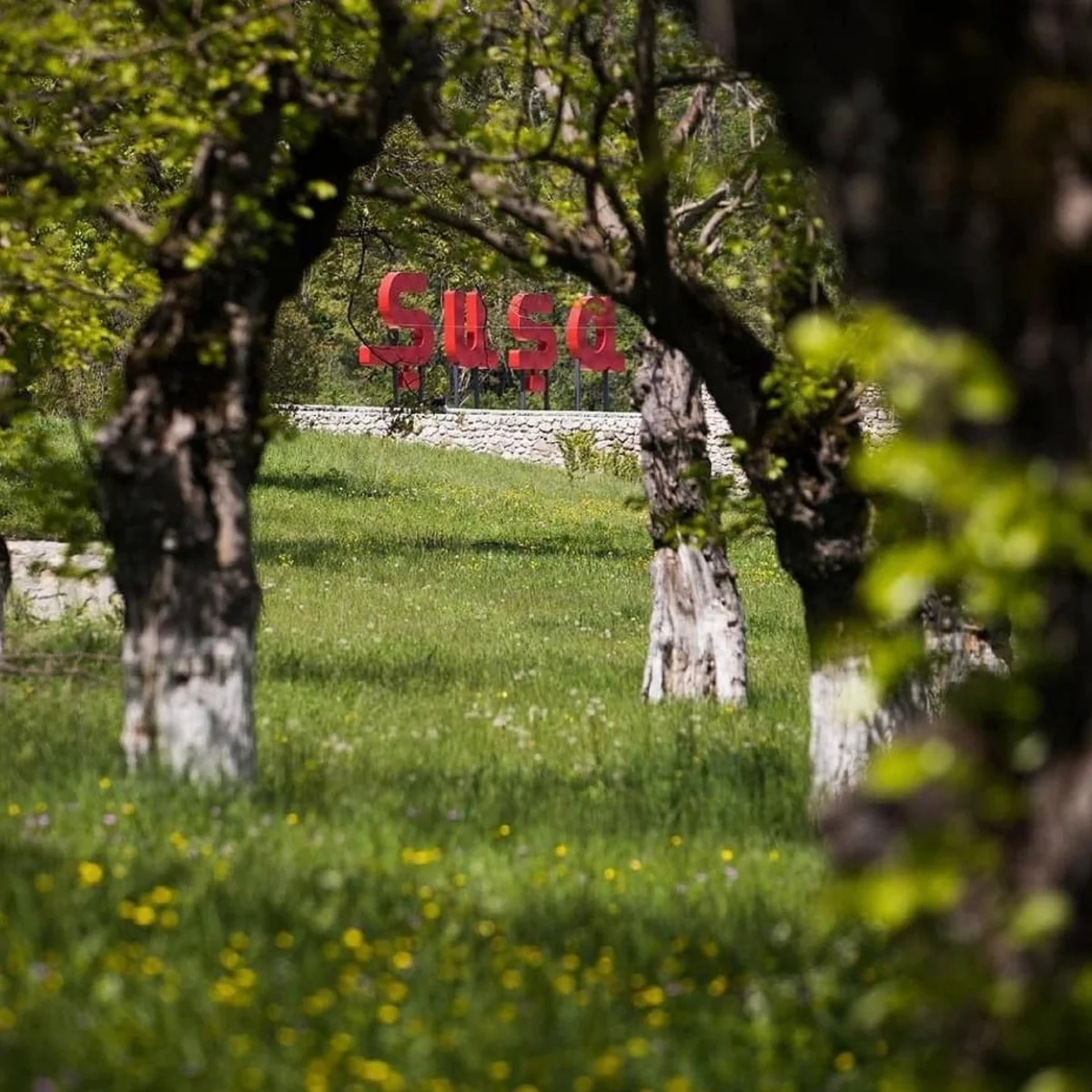 Представители азербайджанской диаспоры посетят Шушу