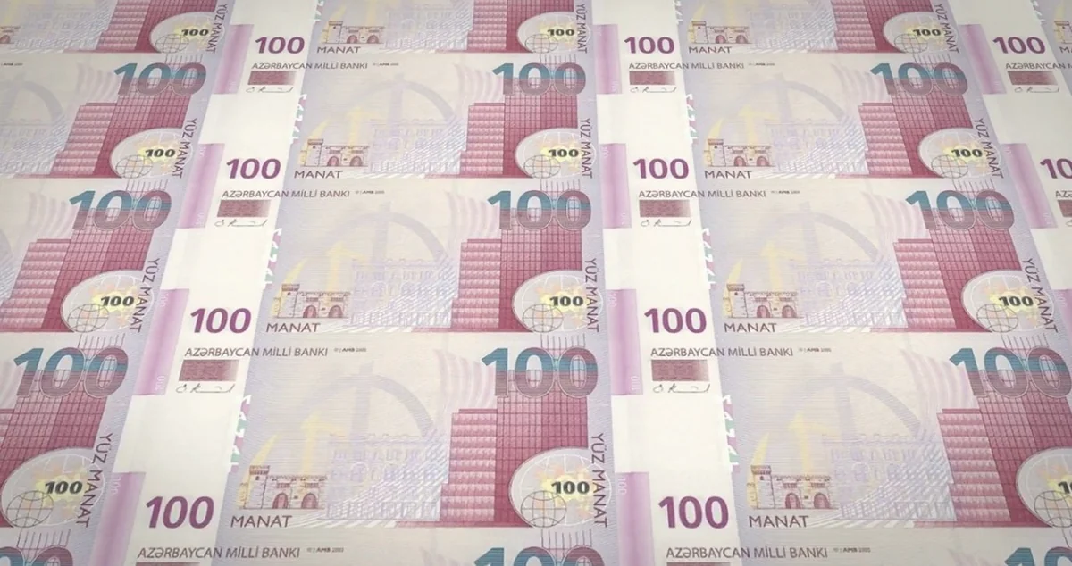 Təminat Fondu bu ilin 9 ayında 90 milyon manat gəlir əldə edib