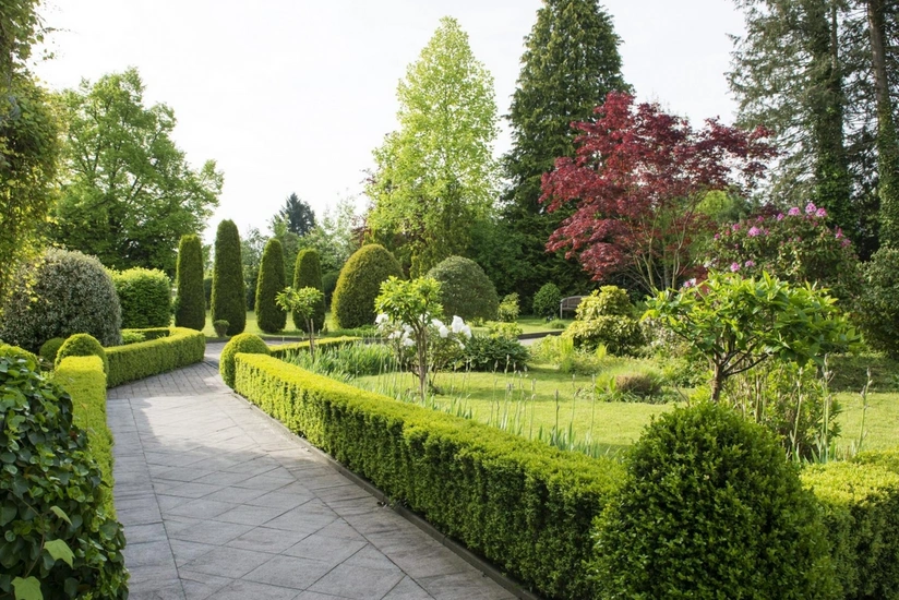 Bakıda keçmiş “Şuşa” restoranının yerində park salınır