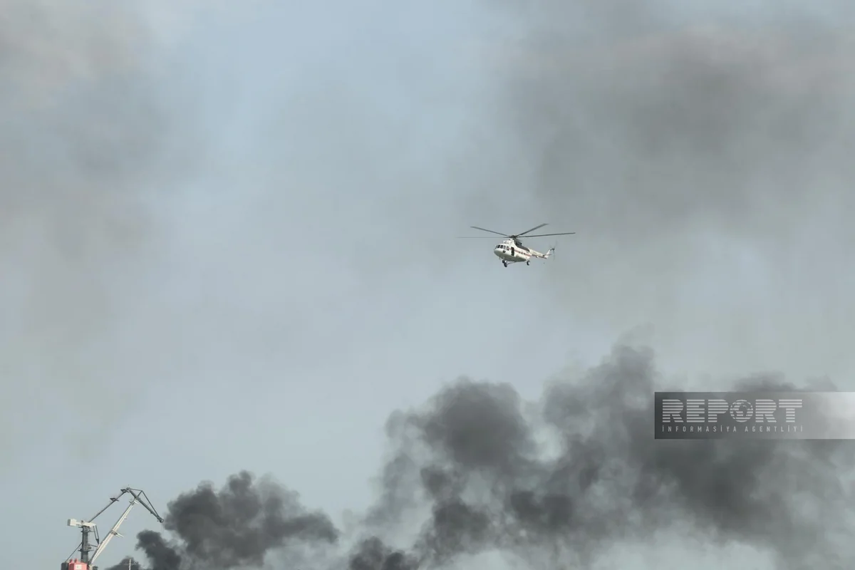 Пожар в лесном массиве в Джалилабаде локализован