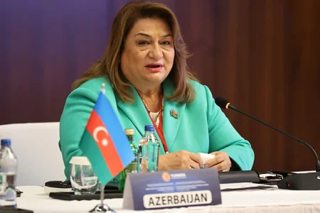 Azərbaycan və Türkiyə parlamentləri arasında əməkdaşlıq Protokolu imzalanıb