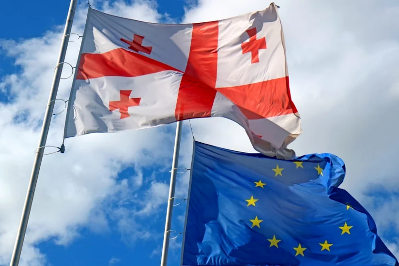 EU offers parties in Georgia to hold early elections in 2022