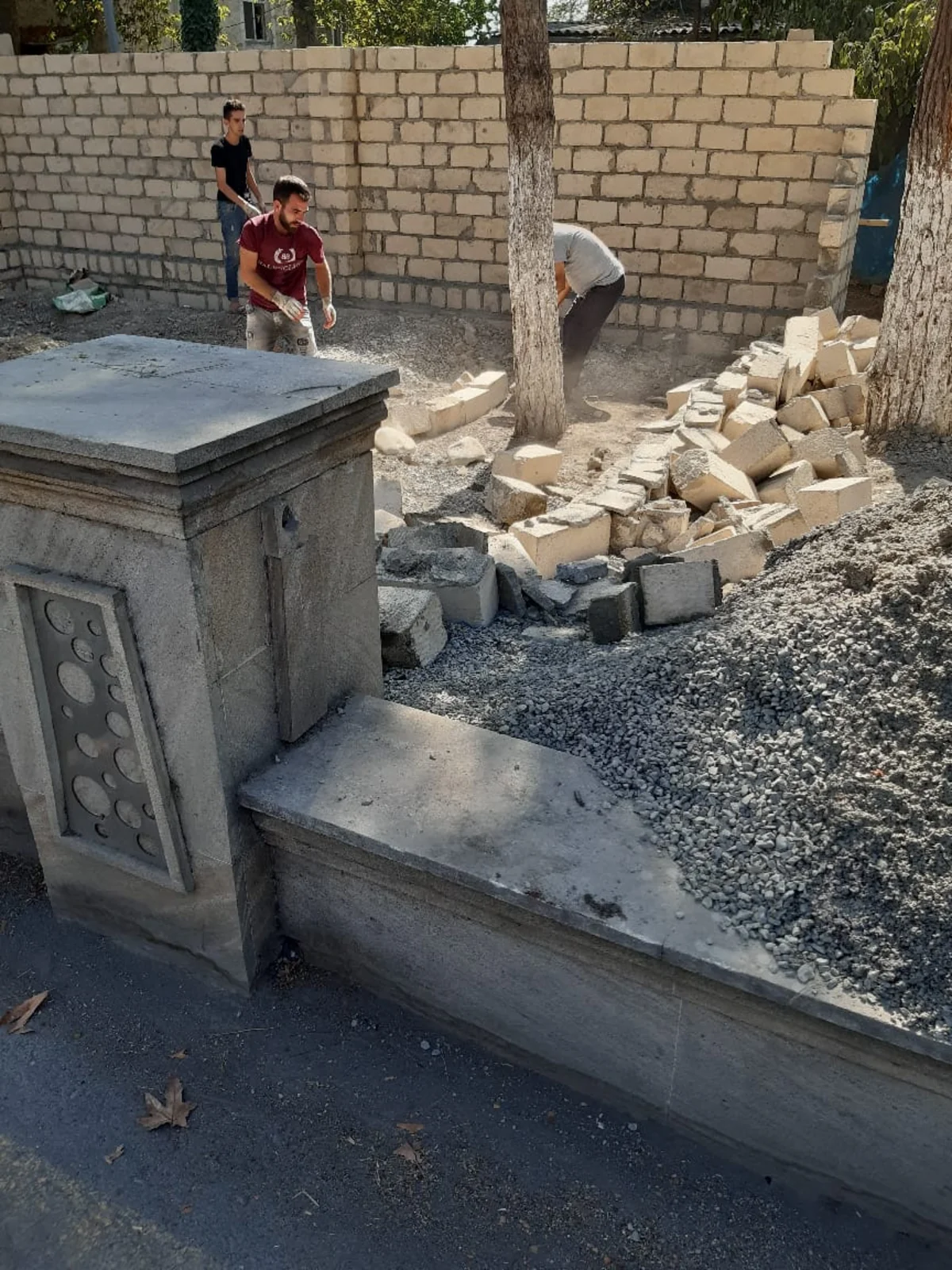 Göyçayda ağacın ətrafına çəkilən hasar sökülüb