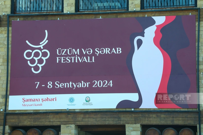 Азербайджанское виноделие: Традиции и амбиции - РЕПОРТАЖ