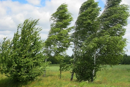 Azerbaijan weather forecast for August 22
