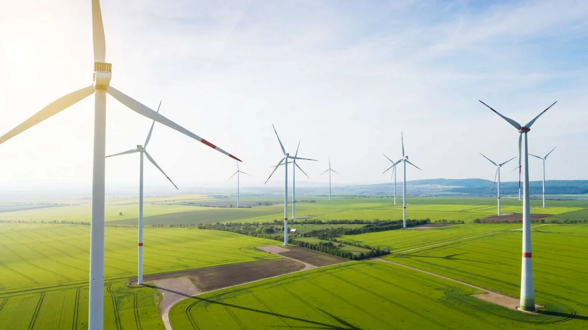 2024-cü ilin BOEM reallığı: Azərbaycan yaşıl enerjinin inkişafı istiqamətində sıçrayış edir