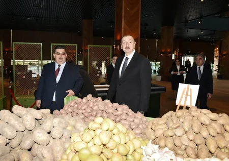 Prezident Ağstafa Aqrar Sənaye Kompleksinin açılışında iştirak edib - YENİLƏNİB