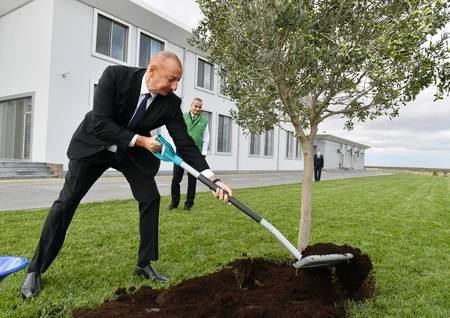 Prezident Zirədə zeytun emalı zavodunun açılışında iştirak edib - YENİLƏNİB