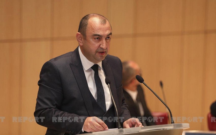 Ermənilər Zəngilanda qədim Şərq çinarlarını kəsərək məhv ediblər