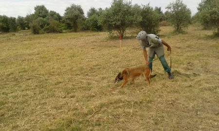 Cocuq Mərcanlıda 7960 ədəd qəlpə, 1 ədəd tank əleyhinə raket aşkarlanıb