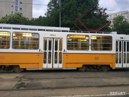 Dunaya qərq olan ümidlər - REPORTAJ