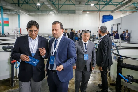 50,000 sturgeon released into the Caspian Sea by Azerbaijan fish farm to mark International Day for Biological Diversity