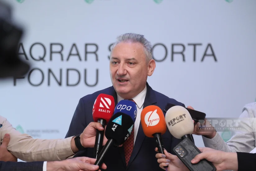 Özbəkistan Azərbaycanın aqrar sığorta sahəsində təcrübəsindən yararlanacaq