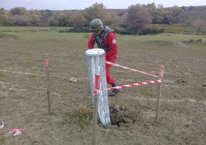 ANAMA: Обнаружено более 4 тыс. противопехотных и свыше 1 тыс. противотанковых мин