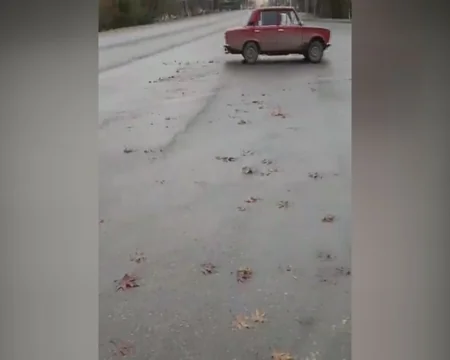 Göyçayda avtoşluq edən sürücü həbs olunub