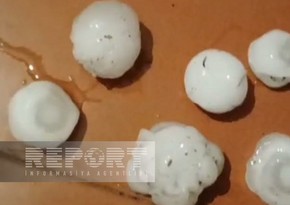 Tovuzun iki kəndinə dolu yağıb
