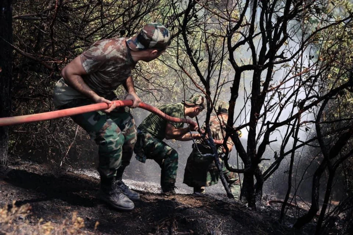Azerbaijani and Turkish firefighters put out blaze in Denizli region
