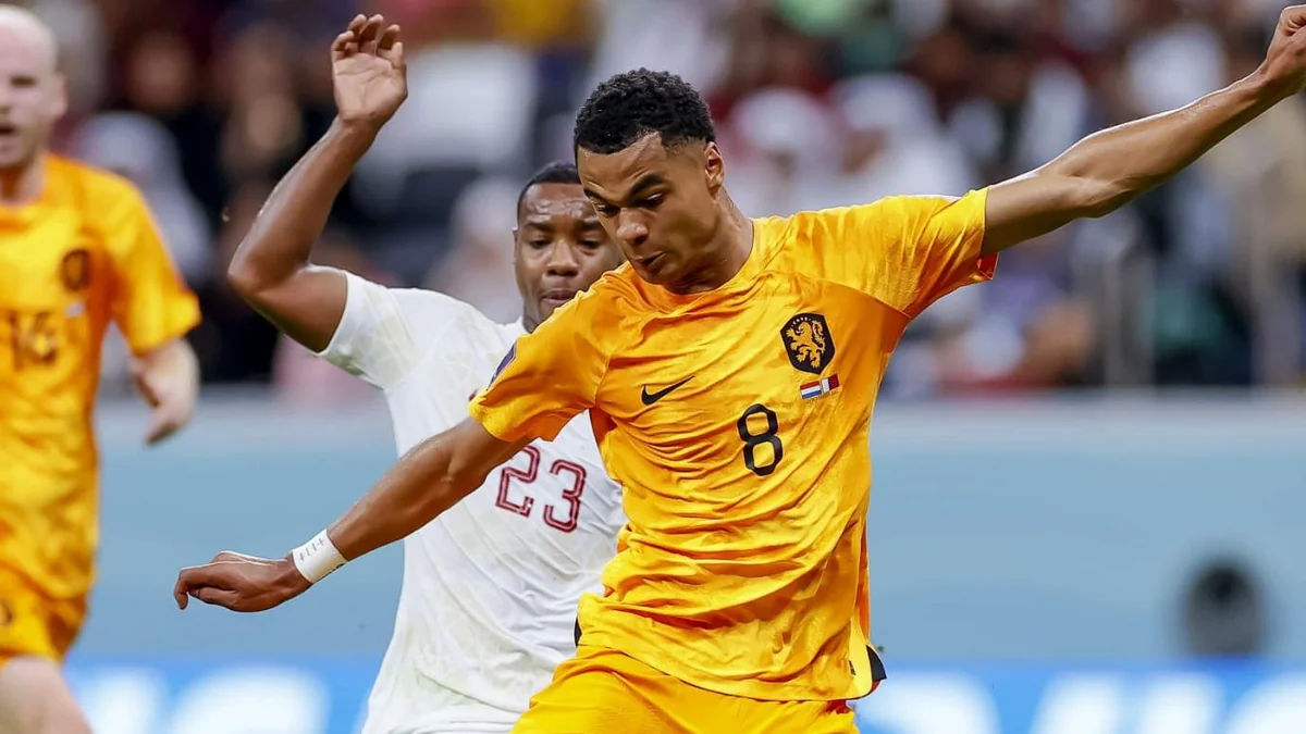 DÇ-2022: Niderland 1/8 final mərhələsinə vəsiqə qazanıb