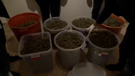 Polis əməliyyatlar keçirib, 28 nəfər saxlanılıb, 47 kq narkotik götürülüb