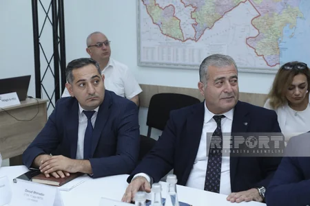 Bəzi ərazilərdə yaşıllıqların və quruyan tinglərin götürülməsi müzakirə olunub