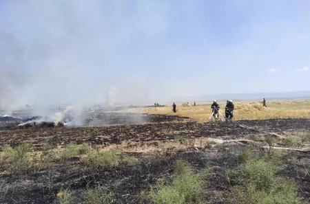 Naxçıvanda 0,8 hektar taxıl zəmisi yanıb