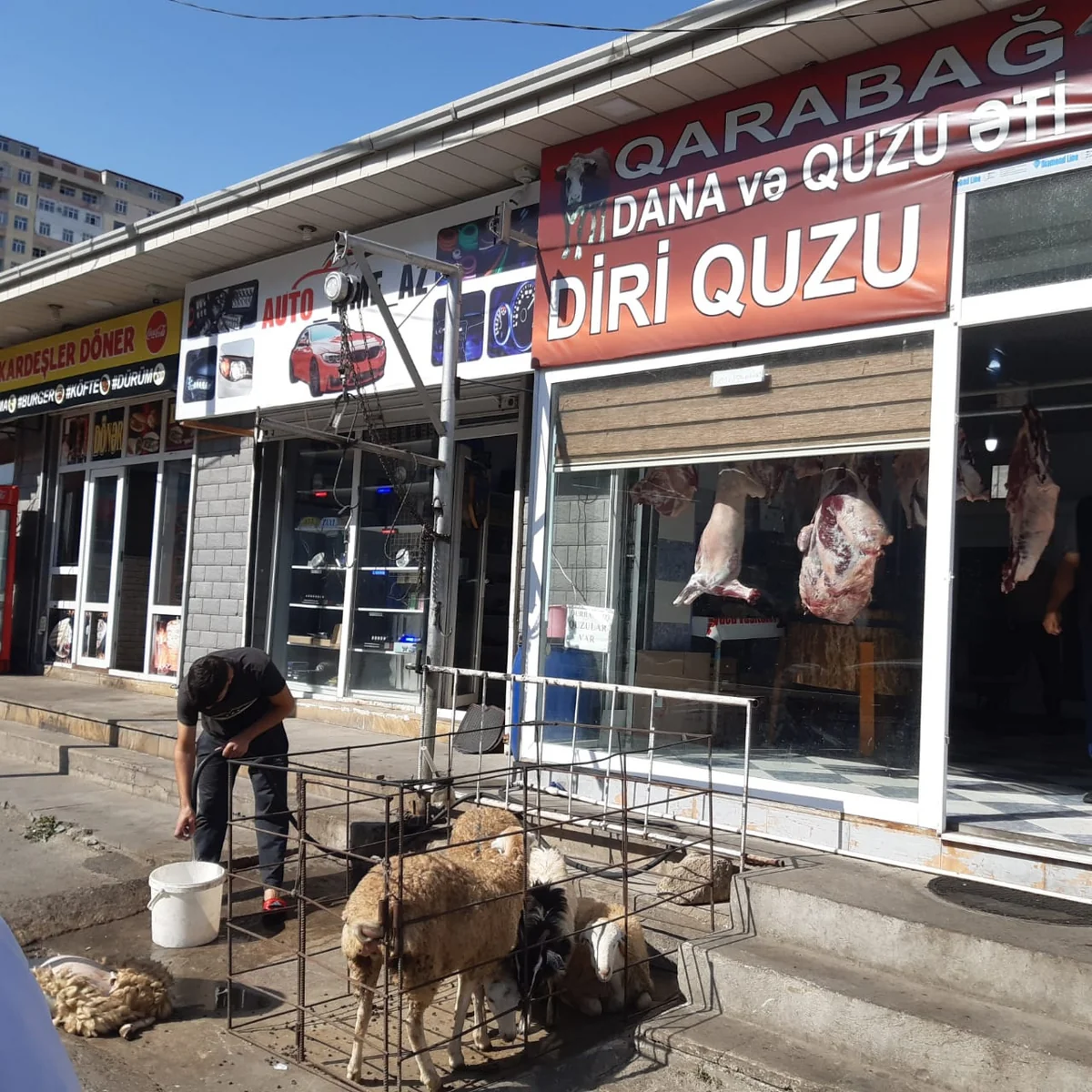 İki rayonda qanunsuz heyvan kəsimi məntəqələri aşkarlanıb