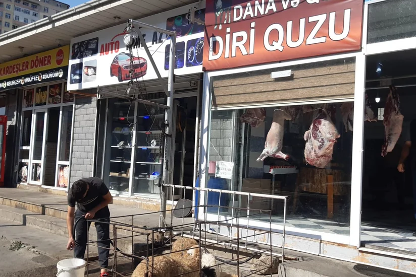 İki rayonda qanunsuz heyvan kəsimi məntəqələri aşkarlanıb