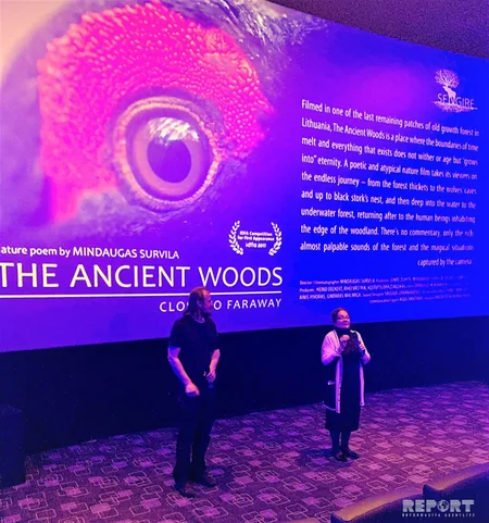 “CinemaPlus Azərbaycan” kinoteatrında litvalı kinorejissorla görüş olub
