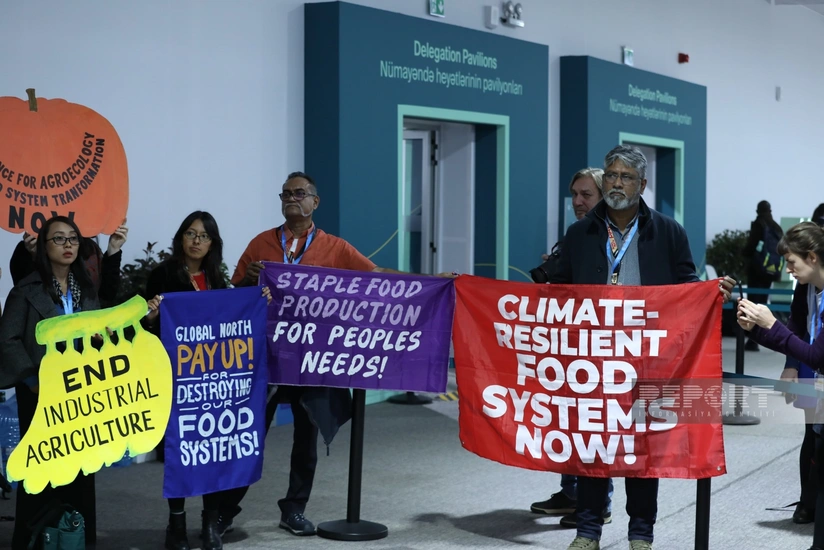 Fəallar COP29-da iqlim ədaləti tələb ediblər