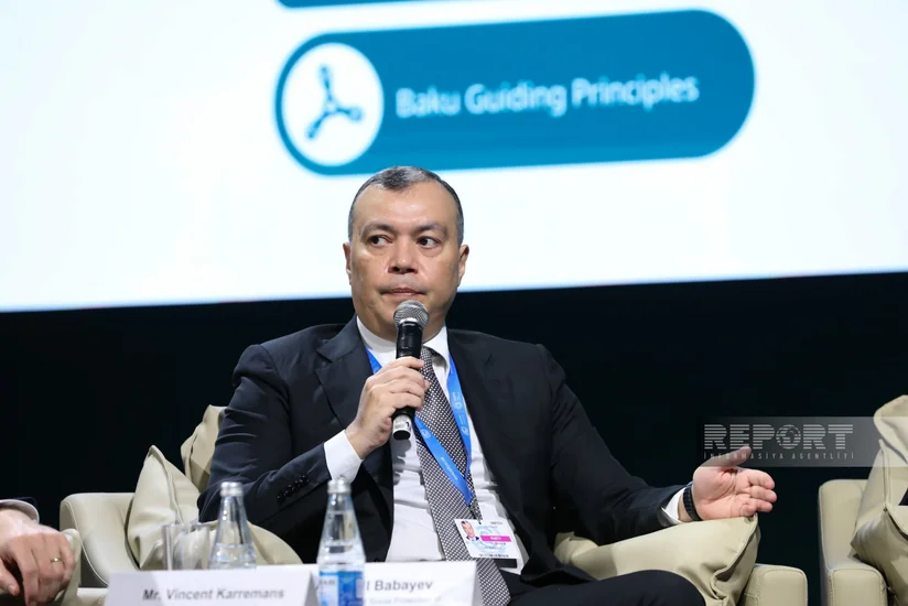 Министр: Азербайджан делает ставку на развитие зеленых навыков