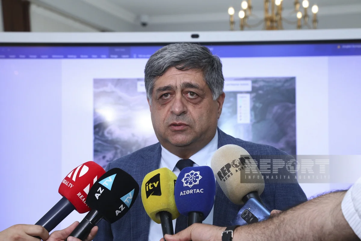 Şərqi Zəngəzurdakı yataqlara sahibkarlar 35 sifariş təqdim edib