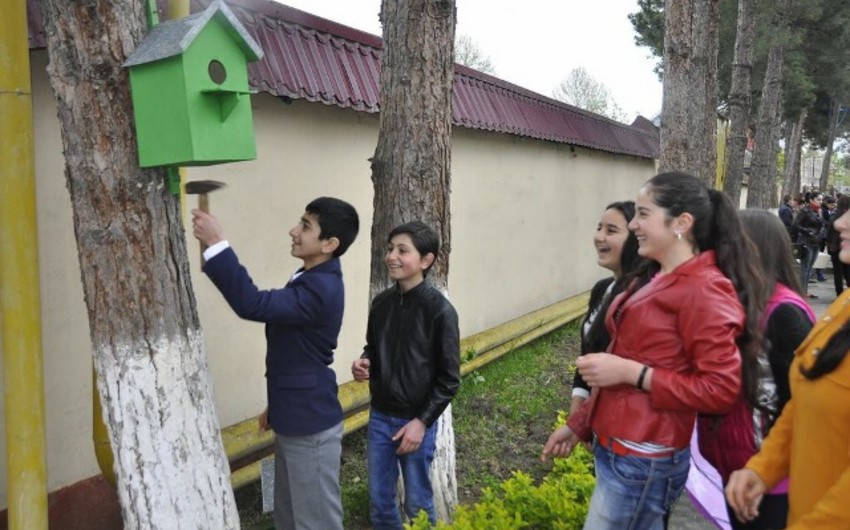 Təbiəti görmək istədiyimiz kimi qoruyaq! adlı ekoloji marafon keçirilib