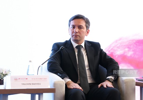 Yalçın Rəfiyev: "COP30-da "Bakıdan Belemə" adlı yol xəritəsi təqdim ediləcək"