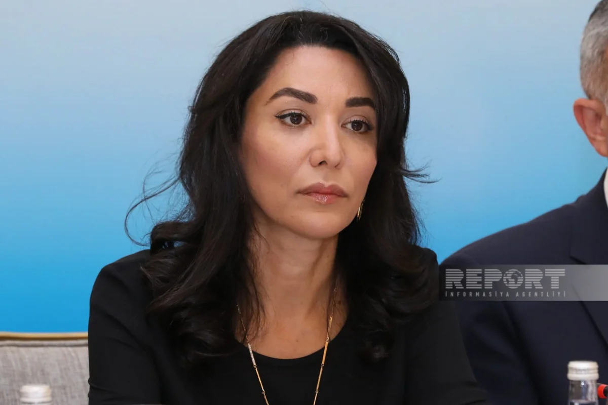 Ombudsman prezident seçkilərinə hazırlıq prosesindən danışıb