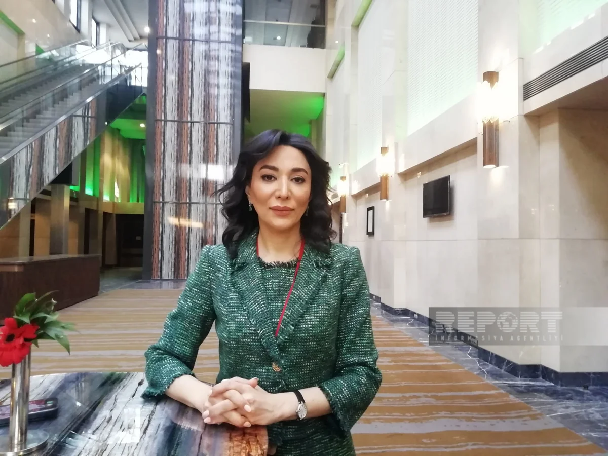 Sabina Aliyeva: 'There are double standards in the world regarding human rights