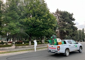 Xankəndidə zərərli orqanizmlərə qarşı fitosanitar tədbirləri keçirilib