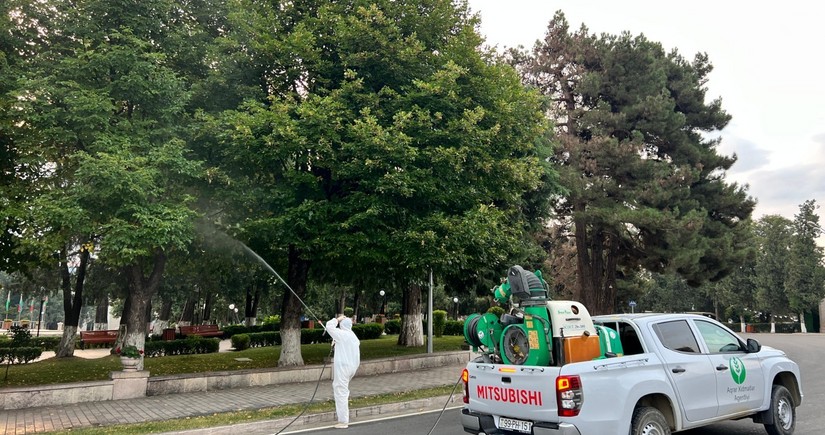 Phytosanitary measures against harmful organisms carried out in Khankandi