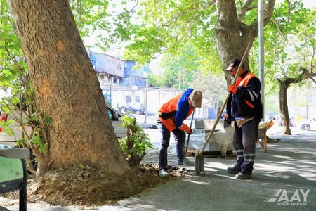 Bakının Cəlil Məmmədquluzadə küçəsinin əsaslı təmirinə başlanılıb