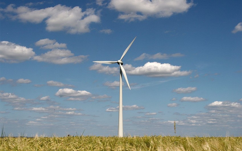 Azərbaycanda külək enerjisi istehsalı 8 dəfəyə yaxın artıb