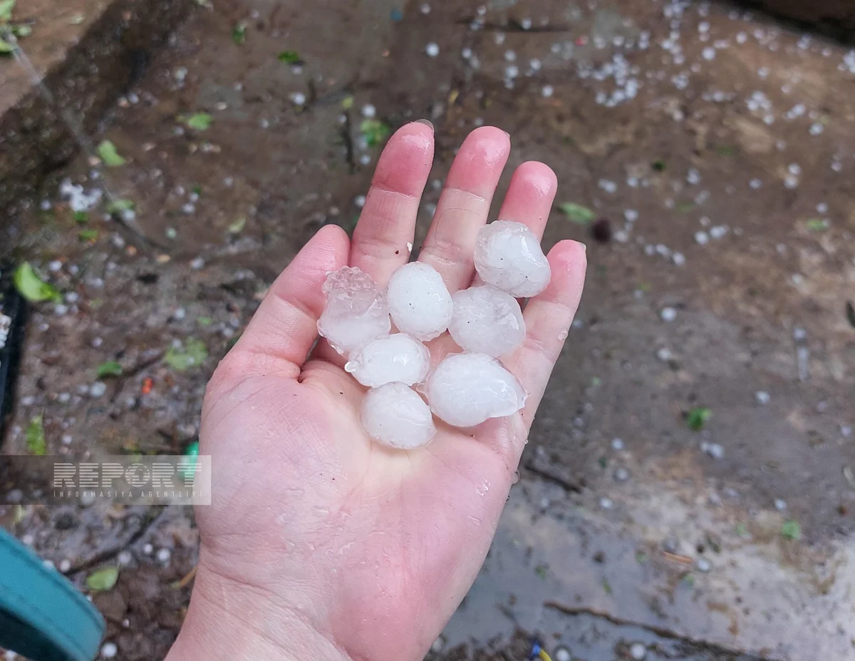 Goranboy və Göygölə dolu düşüb