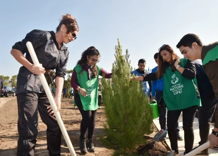 President Ilham Aliyev and first lady Mehriban Aliyeva attended tree-planting campaign in Khatai district, Baku